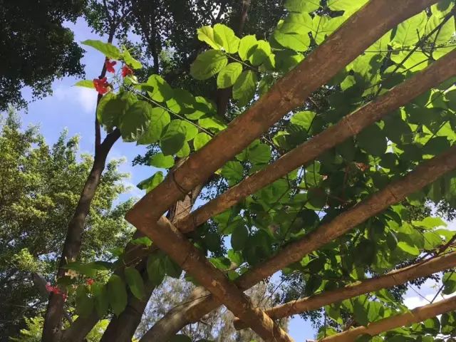 學在省電商丨不負最美校園，不負青春時光