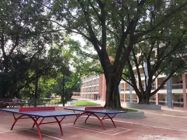 學在省電商丨不負最美校園，不負青春時光