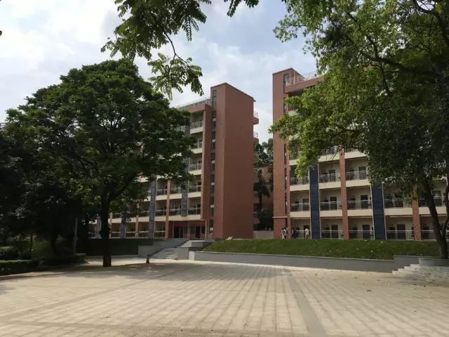 學在省電商丨不負最美校園，不負青春時光