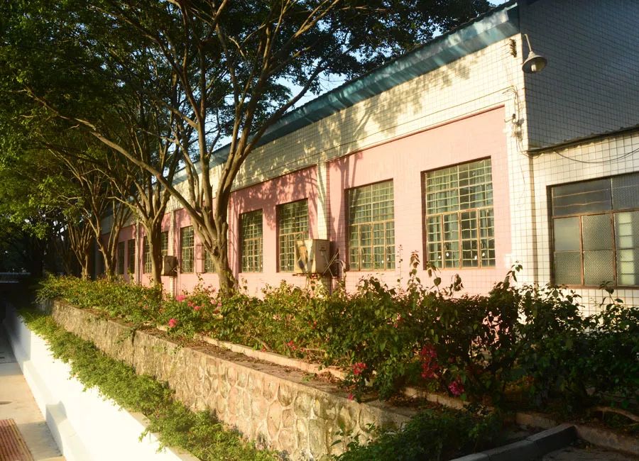 學在省電商丨不負最美校園，不負青春時光