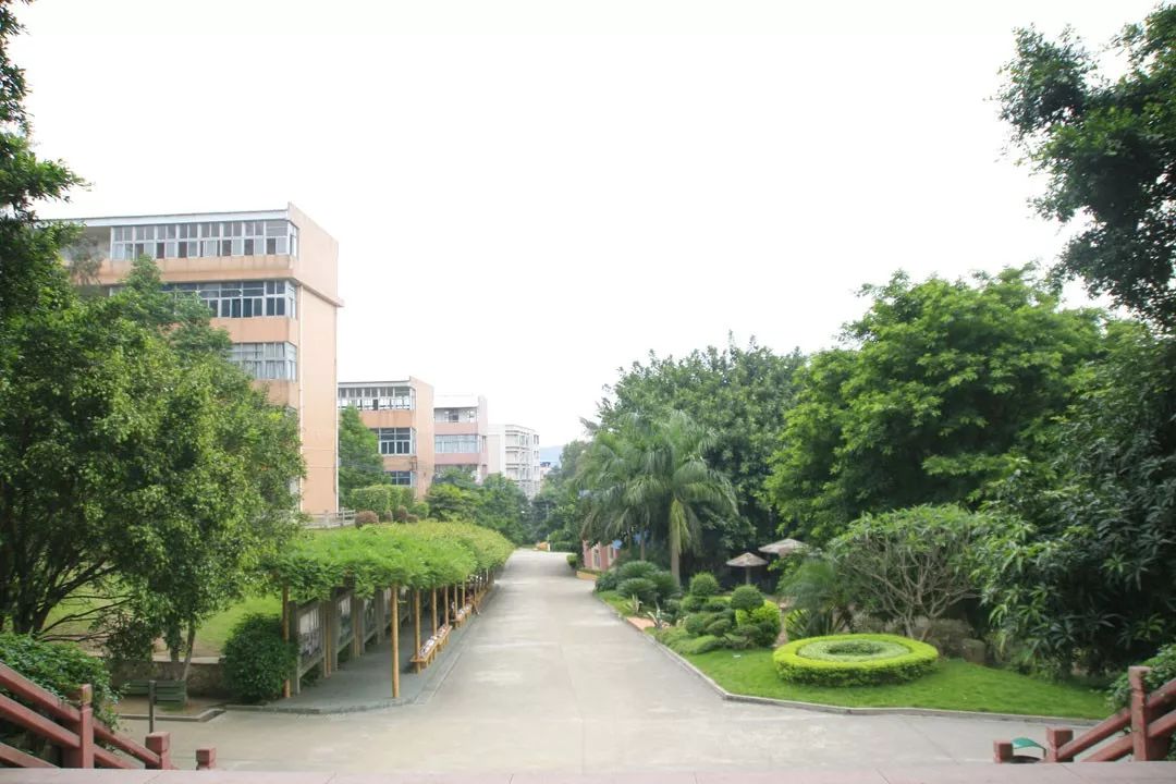 學在省電商丨不負最美校園，不負青春時光