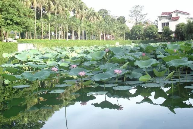 學在省電商丨不負最美校園，不負青春時光
