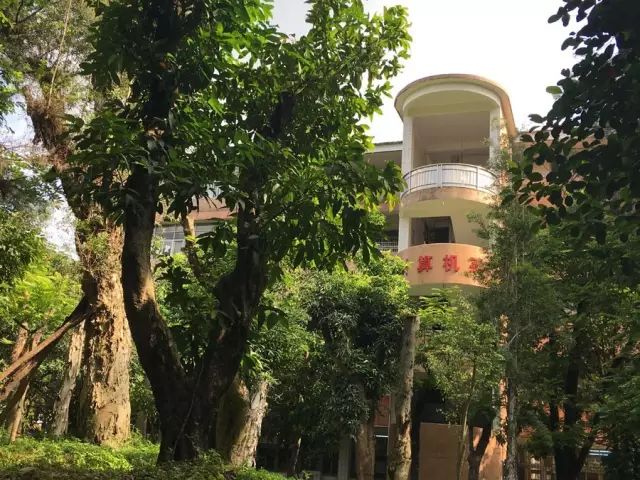 學在省電商丨不負最美校園，不負青春時光