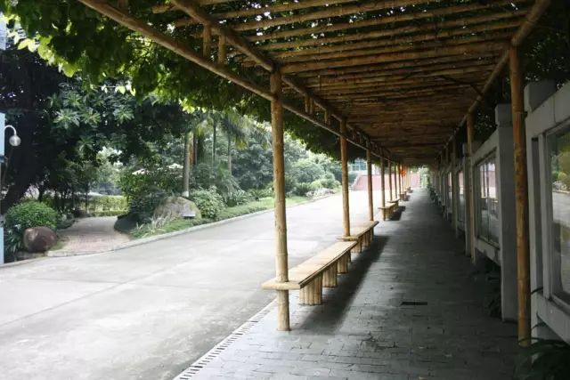 學在省電商丨不負最美校園，不負青春時光